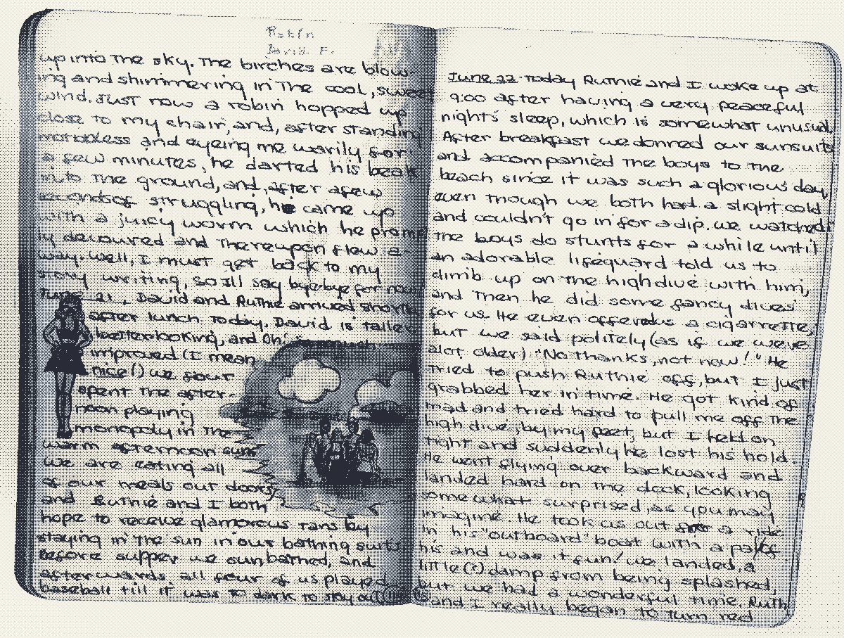 Diário da Sylvia Plath